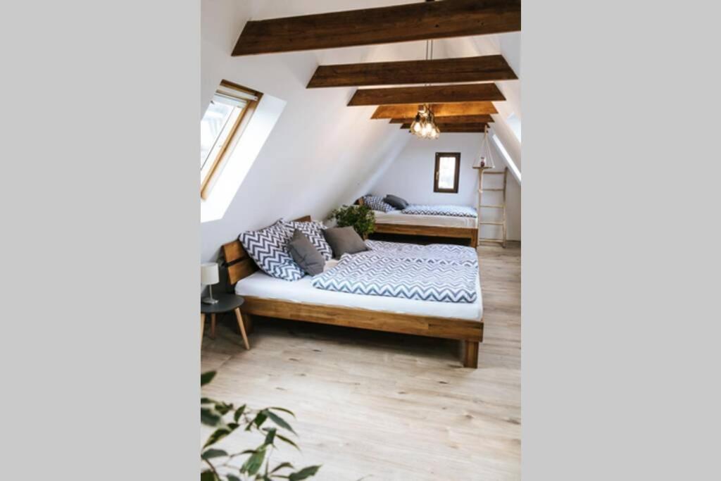 The Cozy Studio Apartment Lauf Lauf an der Pegnitz Exteriör bild
